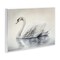Stupell Industries Elegant Floating Swan Wall Plaque, design by Sasha